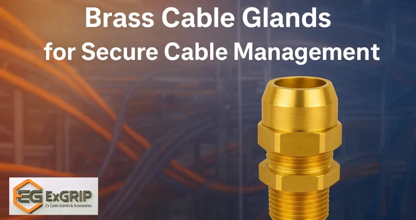 Brass Cable Glands for Secure Cable Management